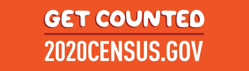 census 2020 bulletin