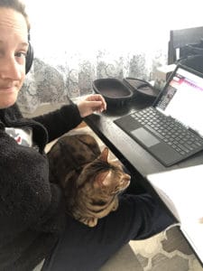 cat as WFH buddy